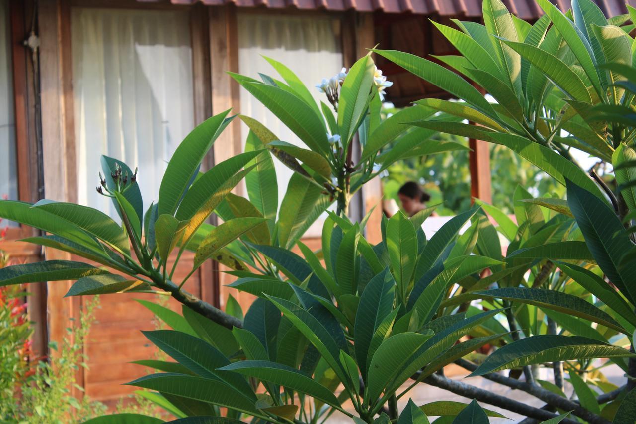 The Somayan Bungalows Batununggul Extérieur photo